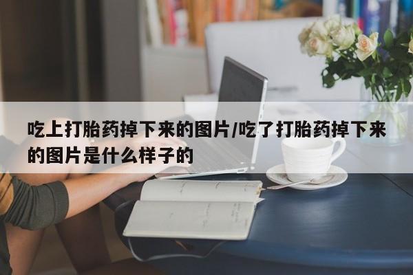 米非米索联系方式吃上打胎药掉下来的图片/吃了打胎药掉下来的图片是什么样子的